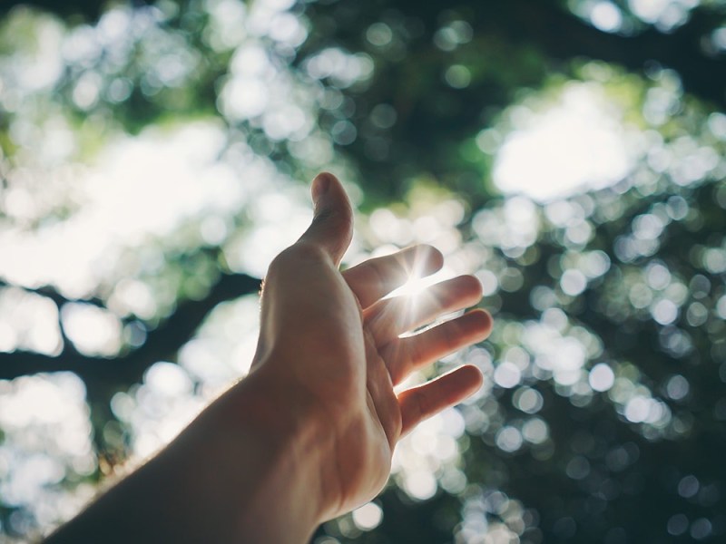 Fight and Build in&nbsp;NPQ